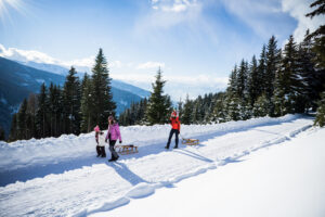 loas familienrodeln print by bause 003