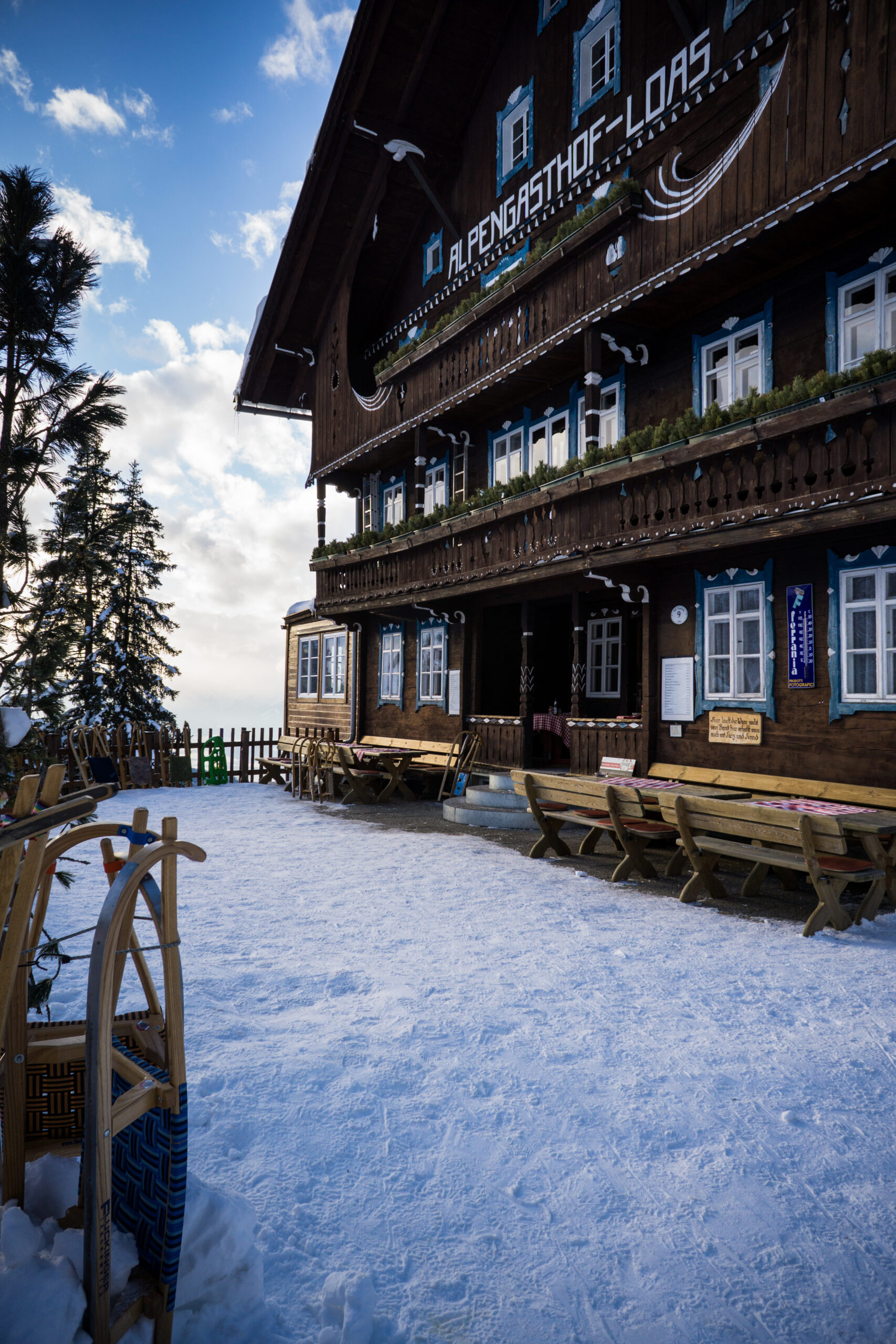 loas familienrodeln print by bause 028